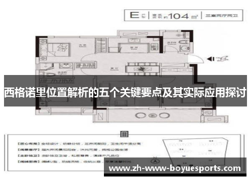 西格诺里位置解析的五个关键要点及其实际应用探讨