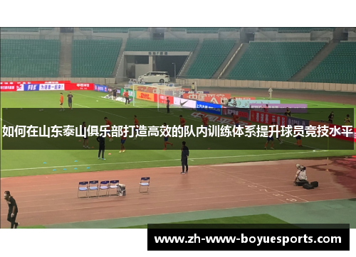 如何在山东泰山俱乐部打造高效的队内训练体系提升球员竞技水平