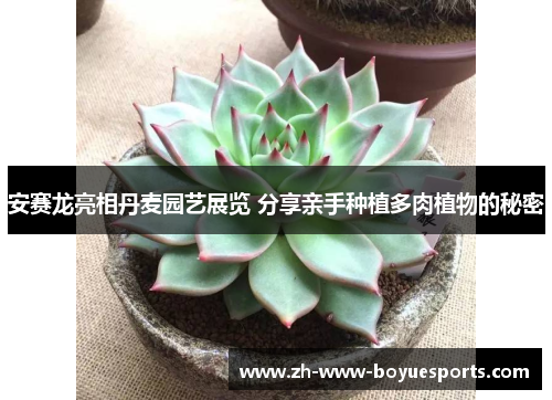 安赛龙亮相丹麦园艺展览 分享亲手种植多肉植物的秘密